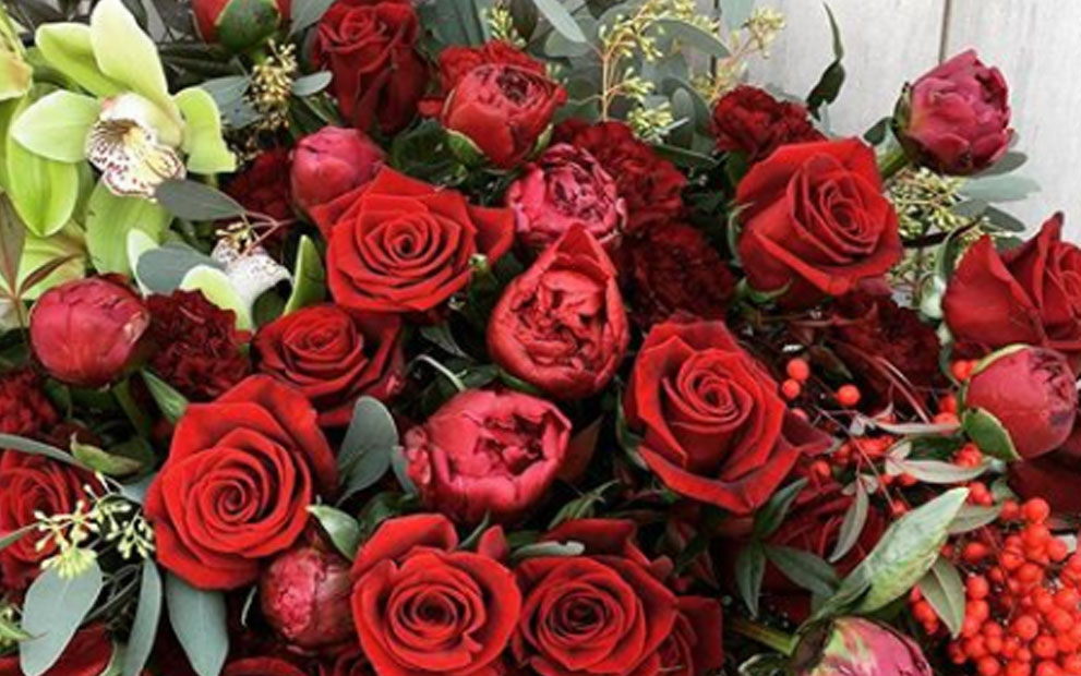 Holiday flowers featuring vivid reds