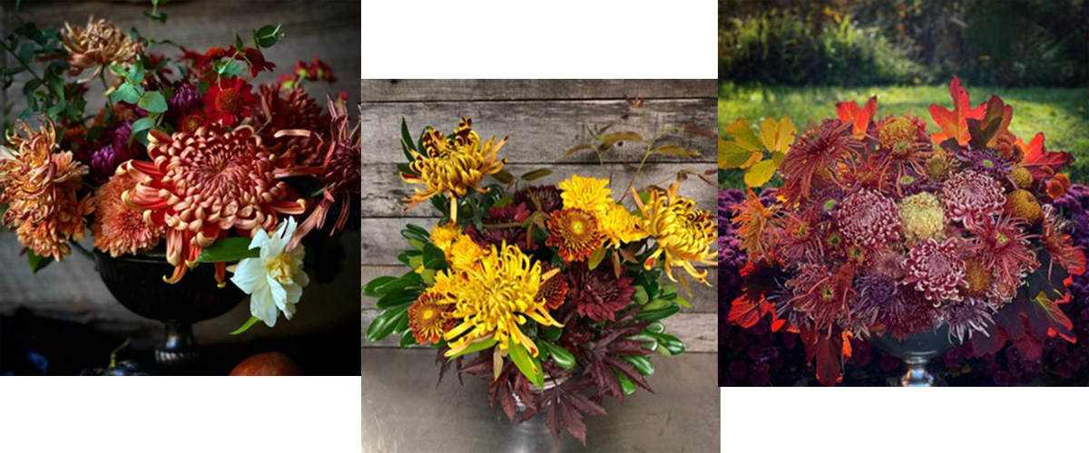 Three floral arrangements featuring fall harvest colored chrystanthemums