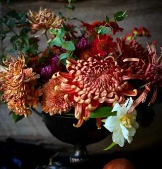 Chrysanthemum arrangement