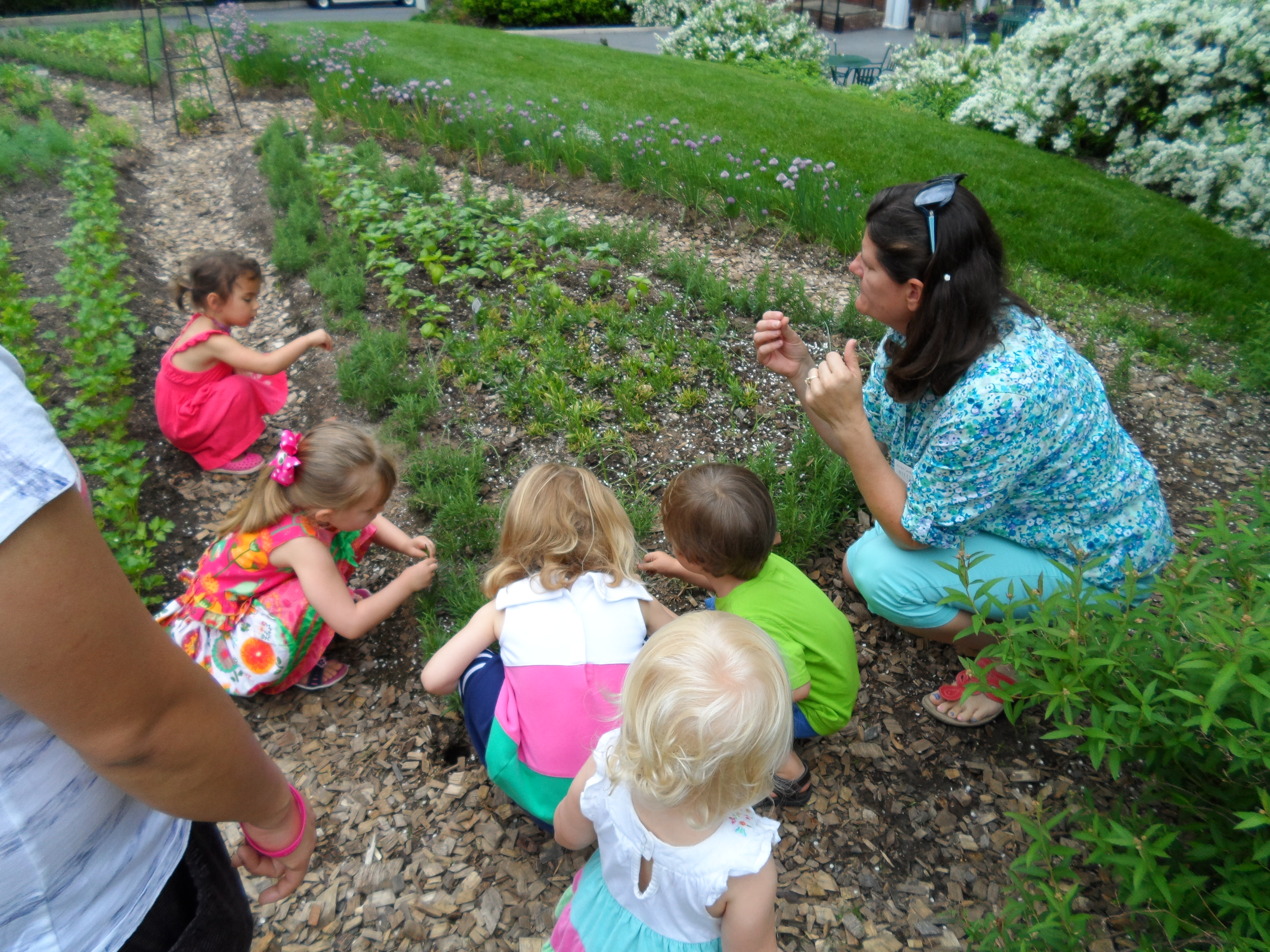 preschoolers gathered around preschool instructor examining plants in cutting garden