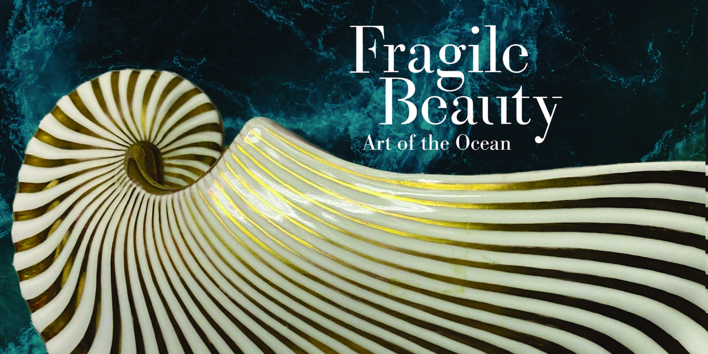 Fragile Beauty exhibition branding