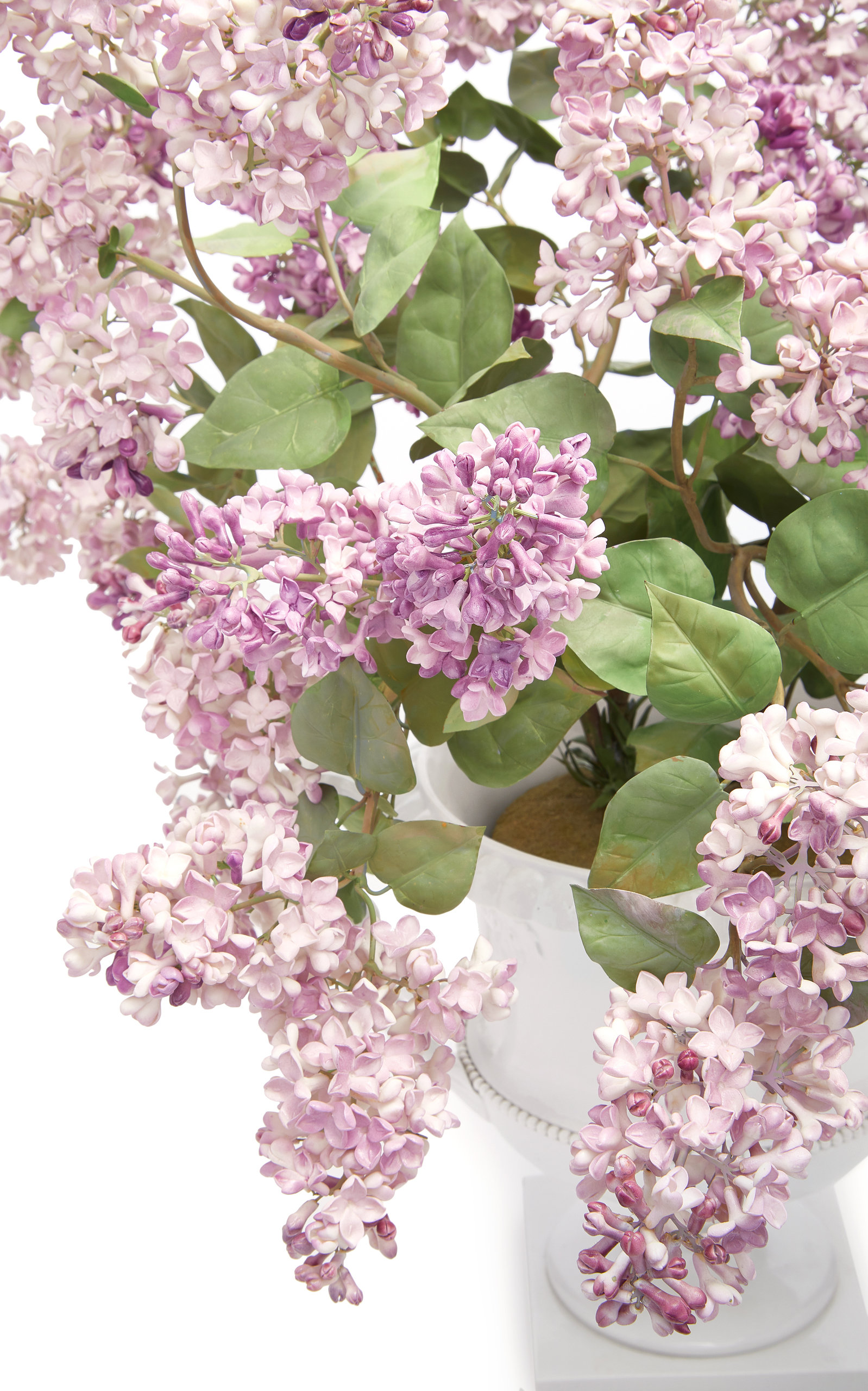Lilacs created by Vladimir Kanevsky