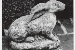 HARE, ONE OF TWO