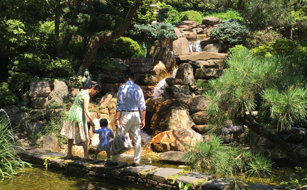 Japanese-style garden hardstone path and green conifers, family of three looking at waterfall