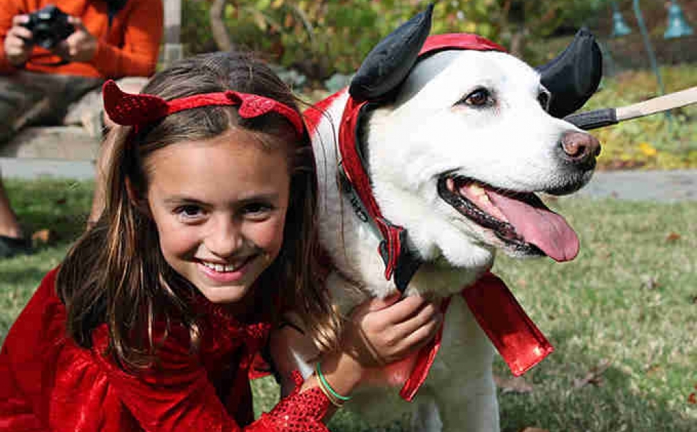 Young girl in devil costume with white dog in devil ears