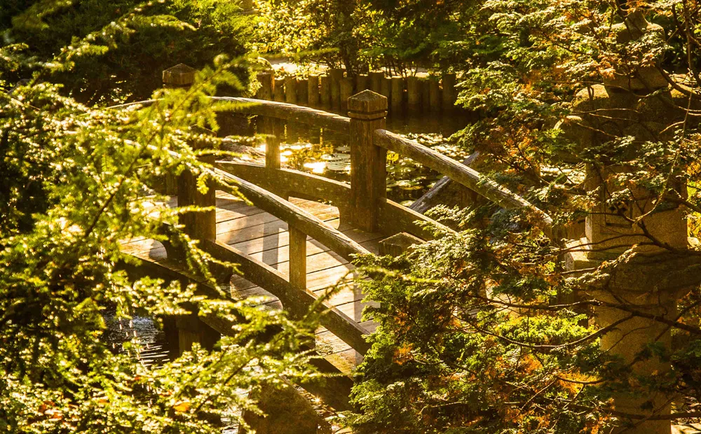 Japanese-style garden