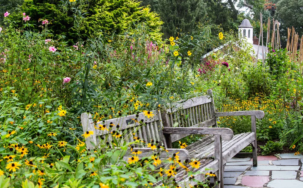Benches in the cutting garden
