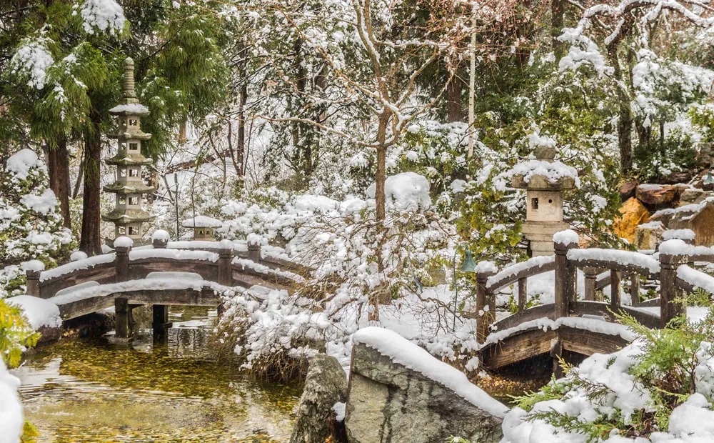 The Japanese-style garden in winter