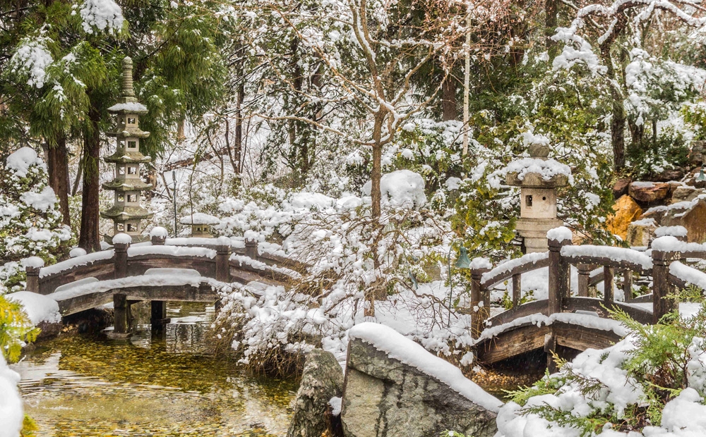 The Japanese-style garden in winter
