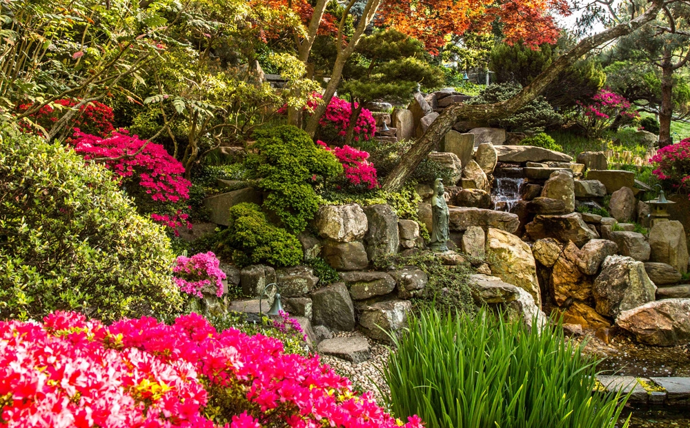 The Japanese-style garden in spring